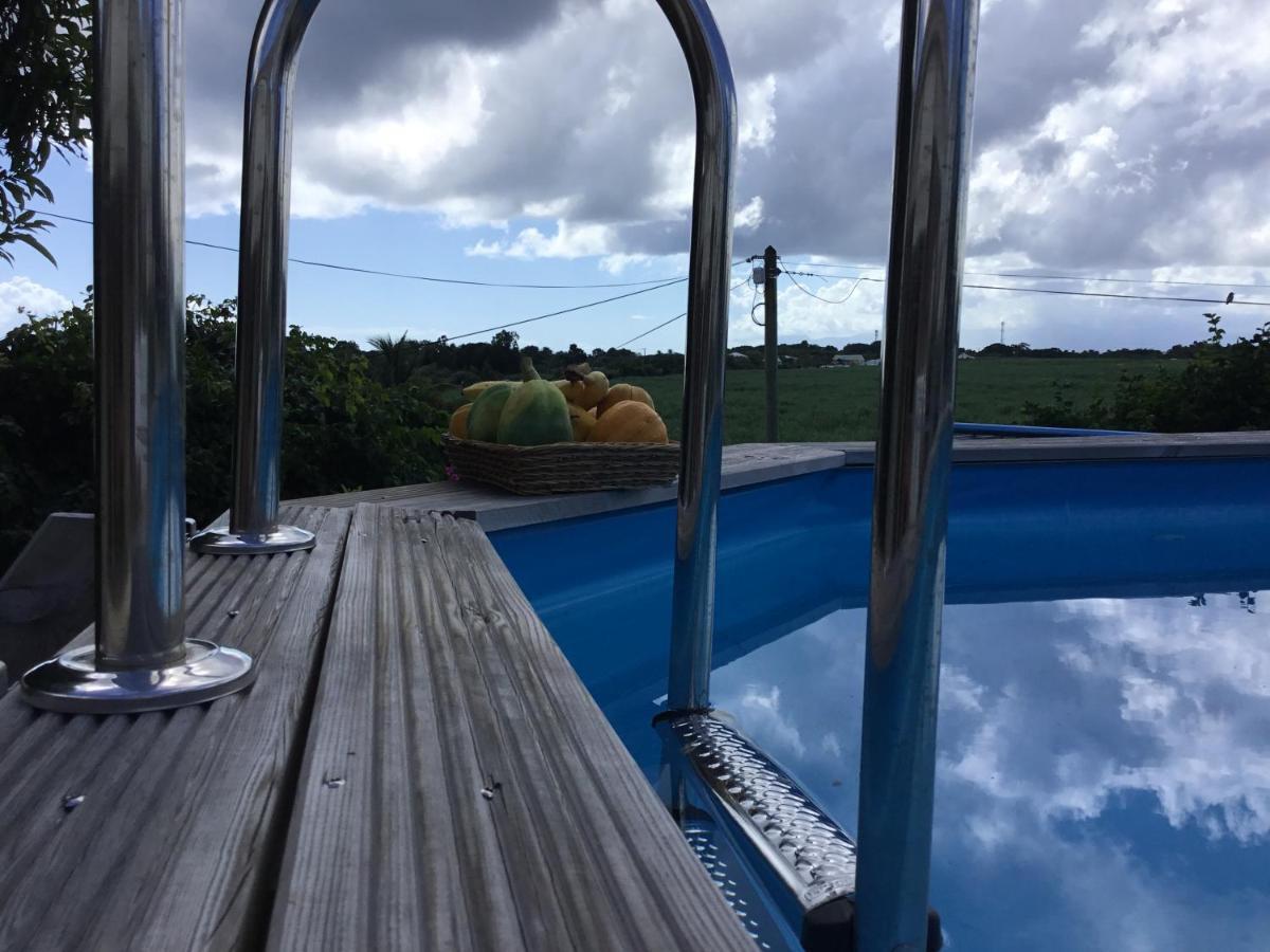 Apartment Le Palmier Argente