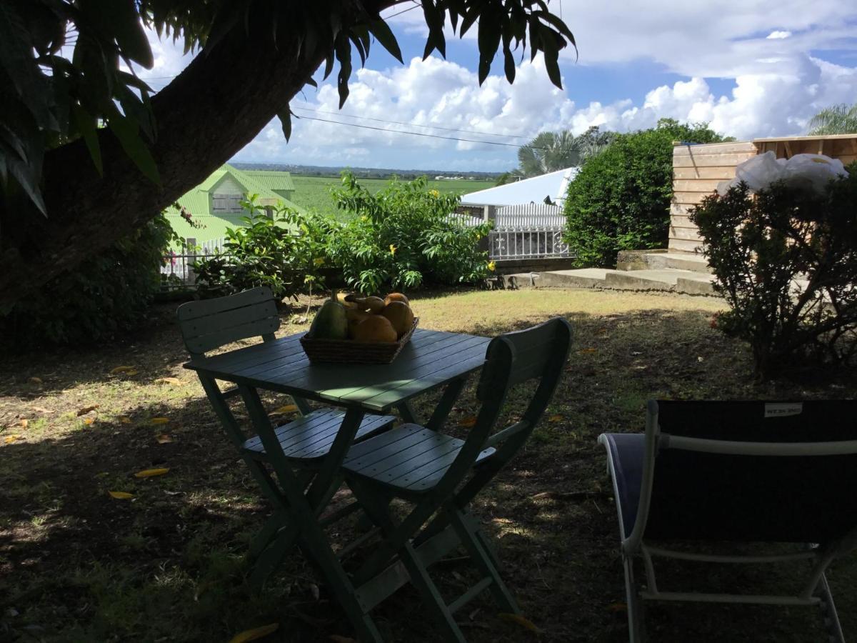 Appartement Le Palmier Argenté Saint-Francois (Grande-Terre)