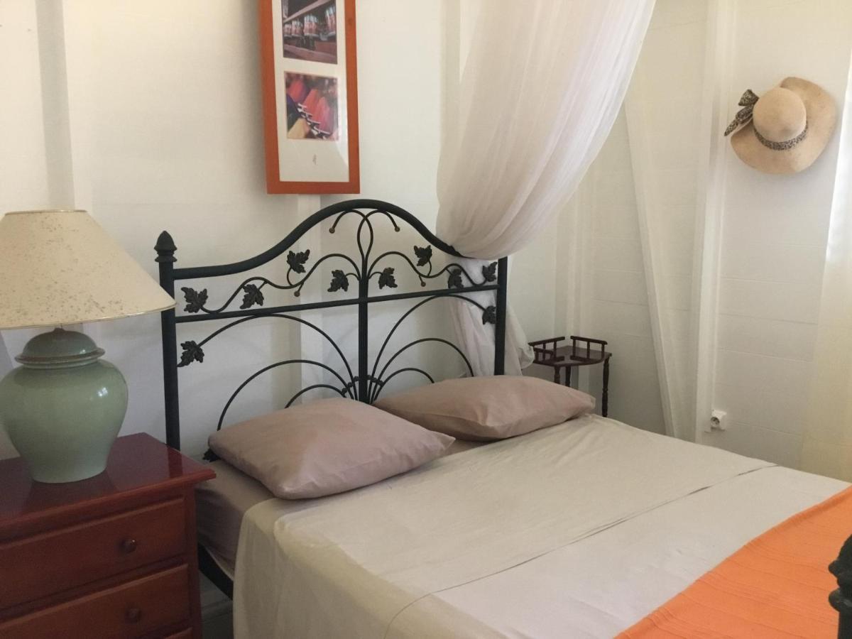 Appartement Le Palmier Argenté