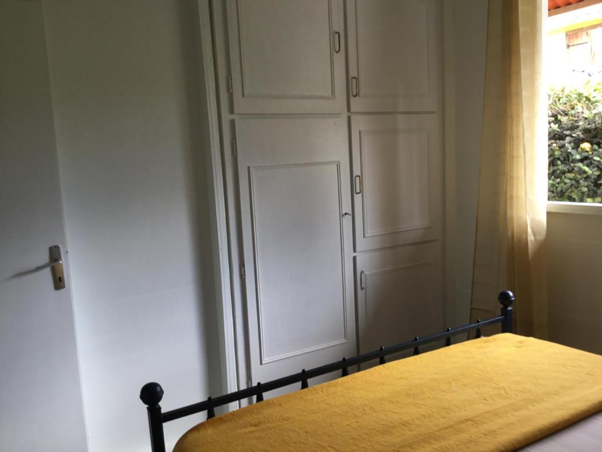Appartement Le Palmier Argenté