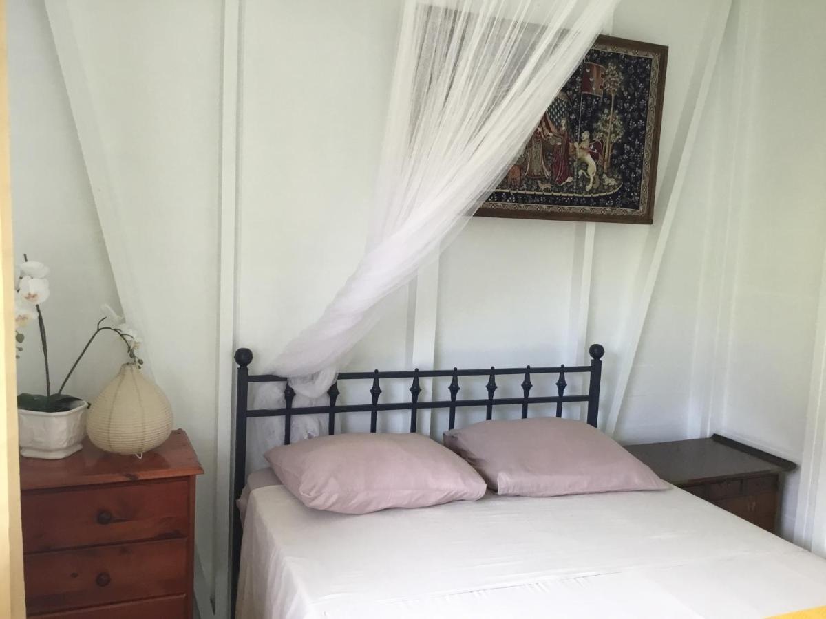 Le Palmier Argenté Appartement *